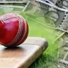 How to Bet in Cricket Online: A Complete Guide